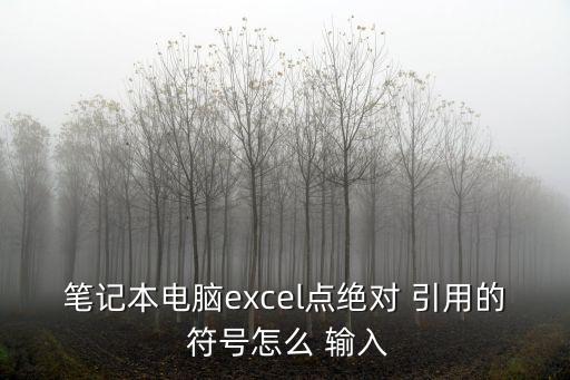 筆記本電腦excel點絕對 引用的 符號怎么 輸入