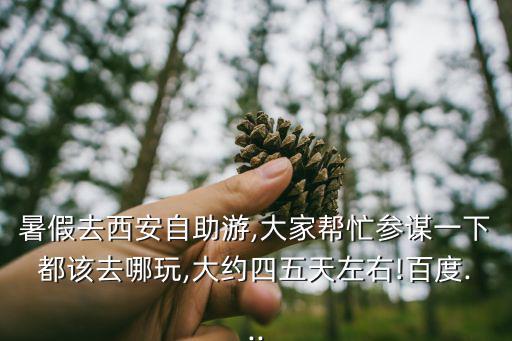 陜西旅游年票,中國十三省份已實現(xiàn)旅游年票聯(lián)網(wǎng)