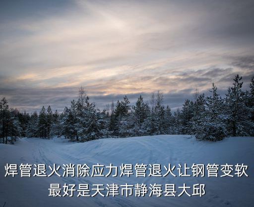天津市大邱莊制管廠名，大邱莊堯舜鋼管廠在哪