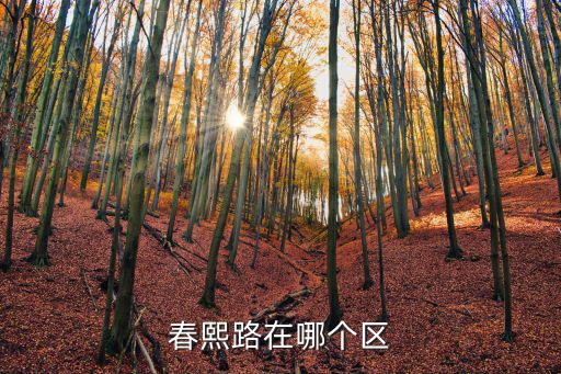 春熙路在哪個區