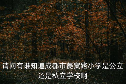 請問有誰知道成都市菱窠路小學是公立還是私立學校啊