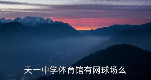 天一中學體育館有網球場么