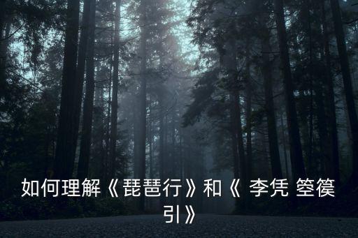 《李憑箜篌引》,第二集:李憑和白居易的《琵琶行》