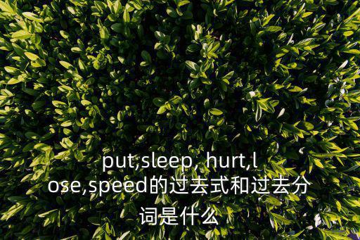 put,sleep, hurt,lose,speed的過(guò)去式和過(guò)去分詞是什么