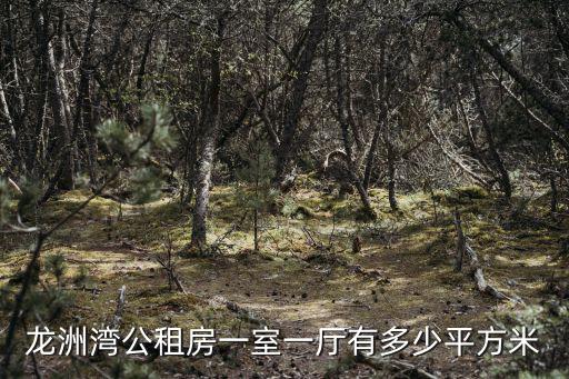 龍洲灣公租房一室一廳有多少平方米