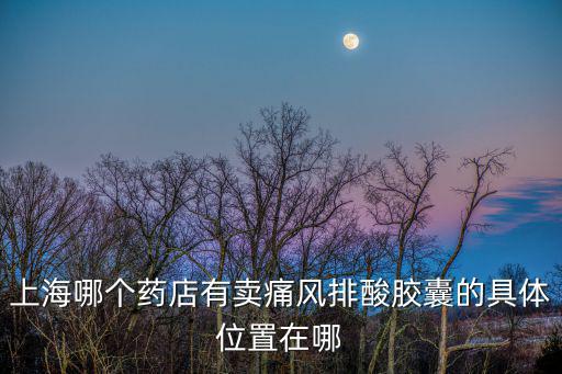 上海哪個藥店有賣痛風排酸膠囊的具體位置在哪