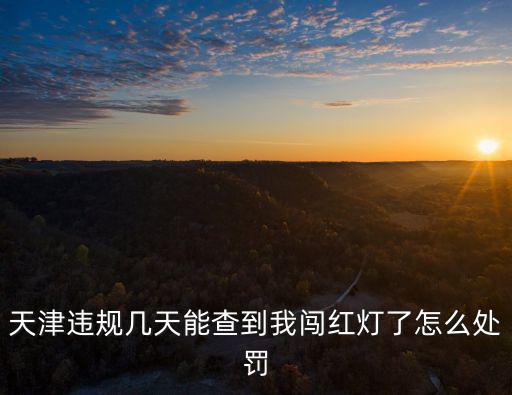 天津違規幾天能查到我闖紅燈了怎么處罰