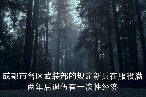 成都市各區(qū)武裝部的規(guī)定新兵在服役滿(mǎn)兩年后退伍有一次性經(jīng)濟(jì)
