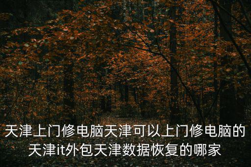 天津上門修電腦天津可以上門修電腦的天津it外包天津數(shù)據(jù)恢復(fù)的哪家
