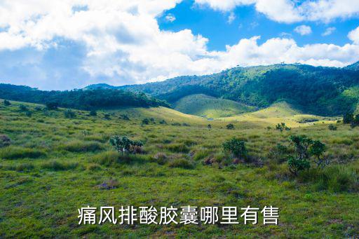 痛風排酸膠囊哪里有售