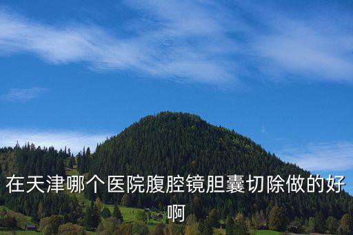 在天津哪個醫院腹腔鏡膽囊切除做的好啊