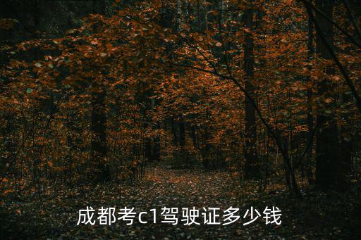 成都考c1駕駛證多少錢
