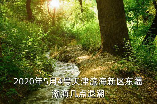 2020年5月4號(hào)天津?yàn)I海新區(qū)東疆渤海幾點(diǎn)退潮