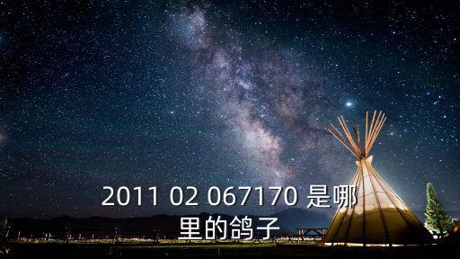 天津市元旭騰飛公棚，天津市職工信鴿協會在哪里
