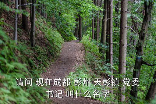 請問 現(xiàn)在成都 彭州 天彭鎮(zhèn) 黨委書記 叫什么名字