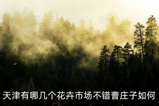 天津有哪幾個花卉市場不錯曹莊子如何