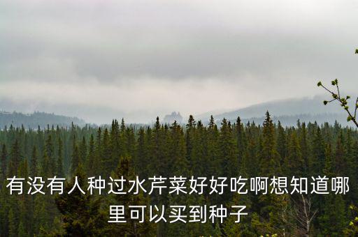 有沒有人種過水芹菜好好吃啊想知道哪里可以買到種子