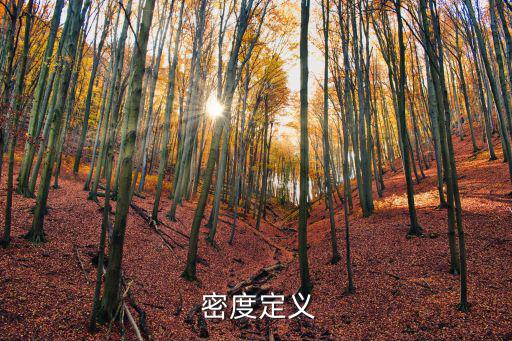  密度定義