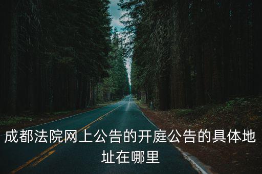 成都法院網(wǎng)上公告的開庭公告的具體地址在哪里
