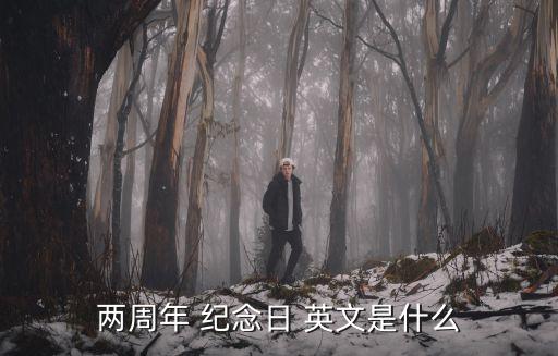 兩周年 紀(jì)念日 英文是什么