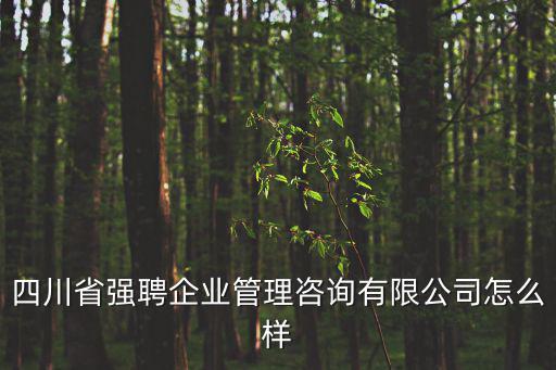 四川省強聘企業(yè)管理咨詢有限公司怎么樣