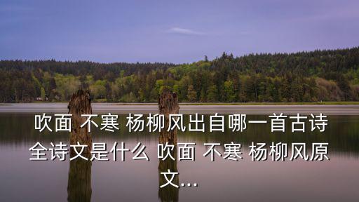  吹面 不寒 楊柳風(fēng)出自哪一首古詩全詩文是什么 吹面 不寒 楊柳風(fēng)原文...