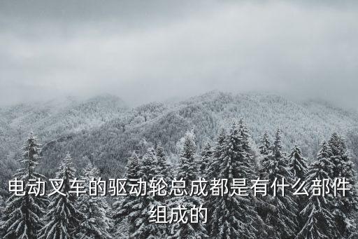 電動(dòng)叉車的驅(qū)動(dòng)輪總成都是有什么部件組成的