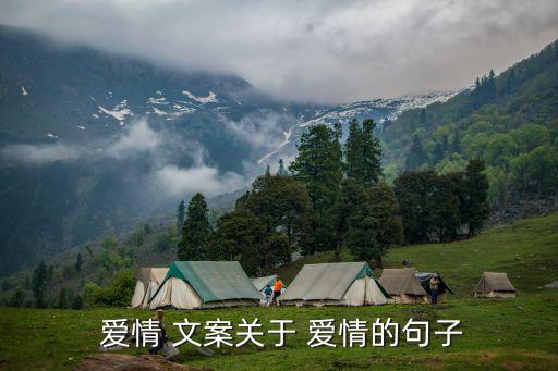 關(guān)于愛情的文案,第二集:我還愛著你