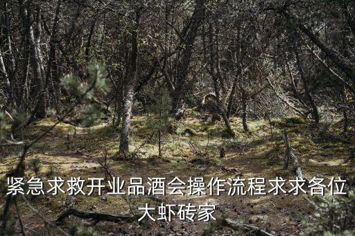 緊急求救開(kāi)業(yè)品酒會(huì)操作流程求求各位大蝦磚家