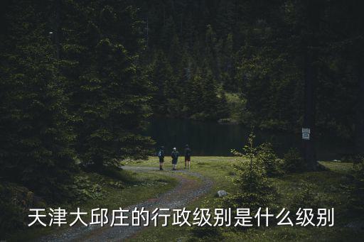 天津大邱莊的行政級別是什么級別