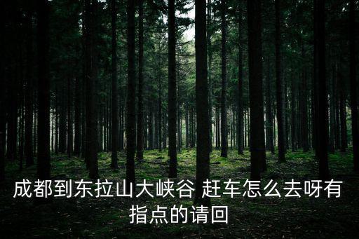 成都到東拉山大峽谷 趕車怎么去呀有指點(diǎn)的請回