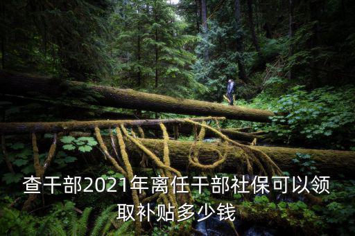 成都市村干部離任補貼，離任村干部申請補助怎么寫要申請書形式的那種別搞些沒用的啊