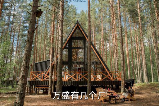 萬盛有幾個廠