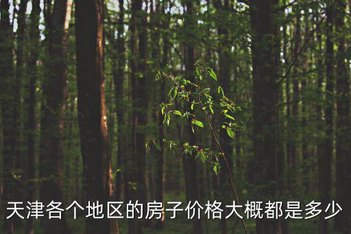 天津各個地區(qū)的房子價格大概都是多少