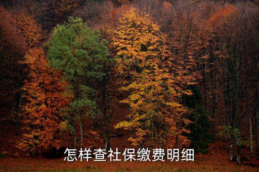 怎樣查社保繳費明細