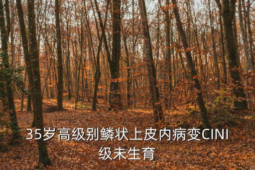 35歲高級別鱗狀上皮內(nèi)病變CINI級未生育
