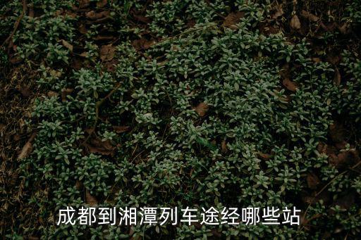 成都到湘潭列車途經(jīng)哪些站