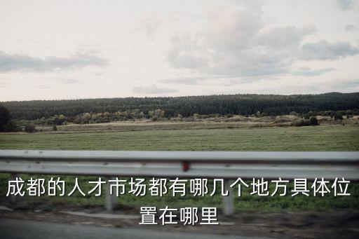 成都的人才市場都有哪幾個地方具體位置在哪里