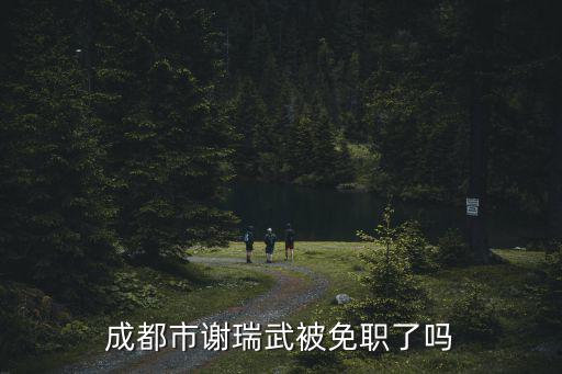 成都市謝瑞武被免職了嗎