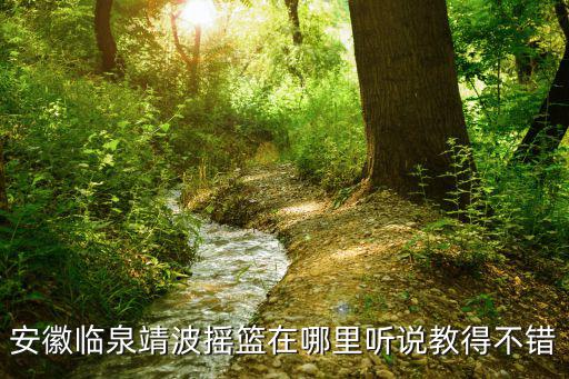 安徽臨泉靖波搖籃在哪里聽說教得不錯(cuò)