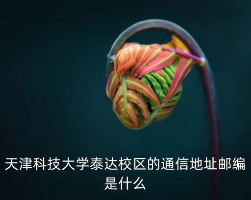 天津科技大學泰達校區的通信地址郵編是什么