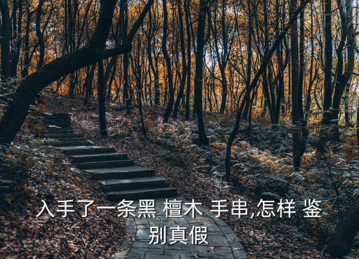 入手了一條黑 檀木 手串,怎樣 鑒別真假