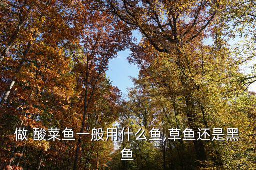 酸菜羅非魚,酸菜魚適合做成纖維少細(xì)嫩淡水魚