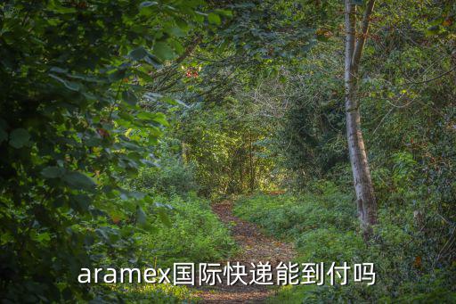 成都市暢聯(lián)國際物流，aramex國際快遞能到付嗎