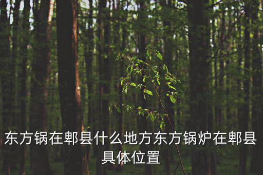東方鍋在郫縣什么地方東方鍋爐在郫縣具體位置