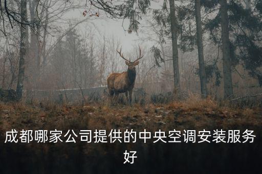 成都哪家公司提供的中央空調安裝服務好