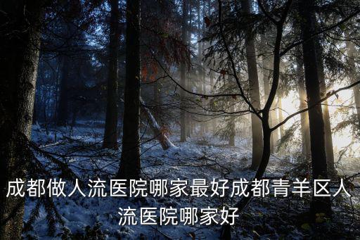 成都市青羊區(qū)人民法院名單，成都法院網(wǎng)上公告的開庭公告的具體地址在哪里
