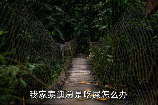 我家泰迪總是吃屎怎么辦
