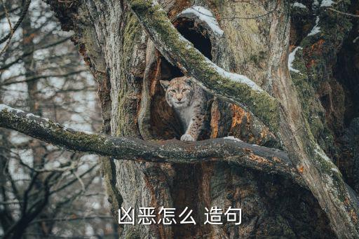 兇狠造句,狠字組詞:殘暴無(wú)情、冷酷無(wú)情!