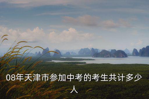 08年天津市參加中考的考生共計多少人